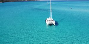 catamarano asinara charter