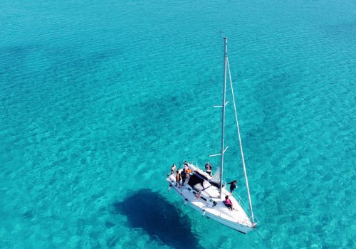 barca a vela asinara charter